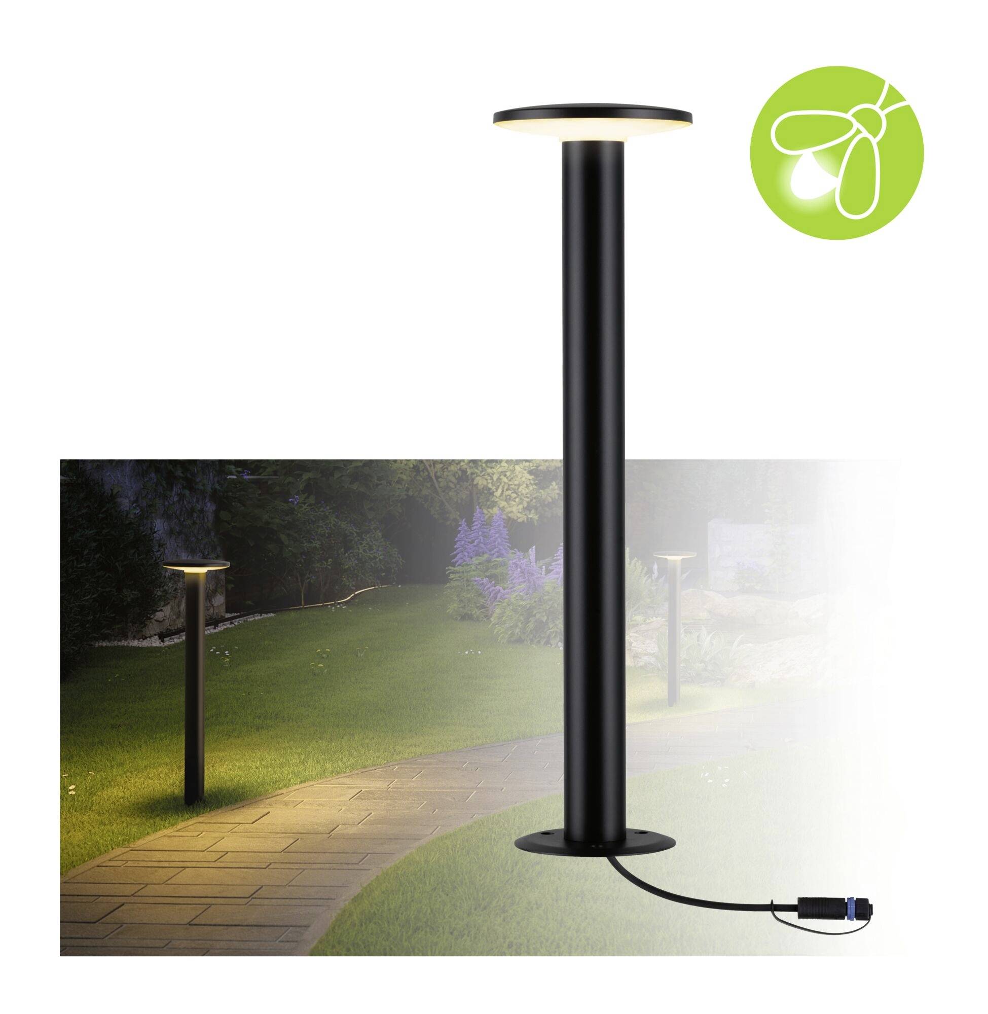 Un lampadaire noir éclaire un chemin sinueux, entouré d'herbe et de plantes. Le symbole en haut à droite représente une feuille verte.