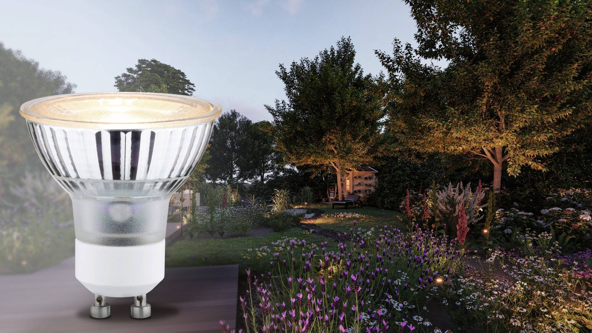 Ampoule au premier plan, jardin illuminé en arrière-plan avec des arbres et des fleurs.