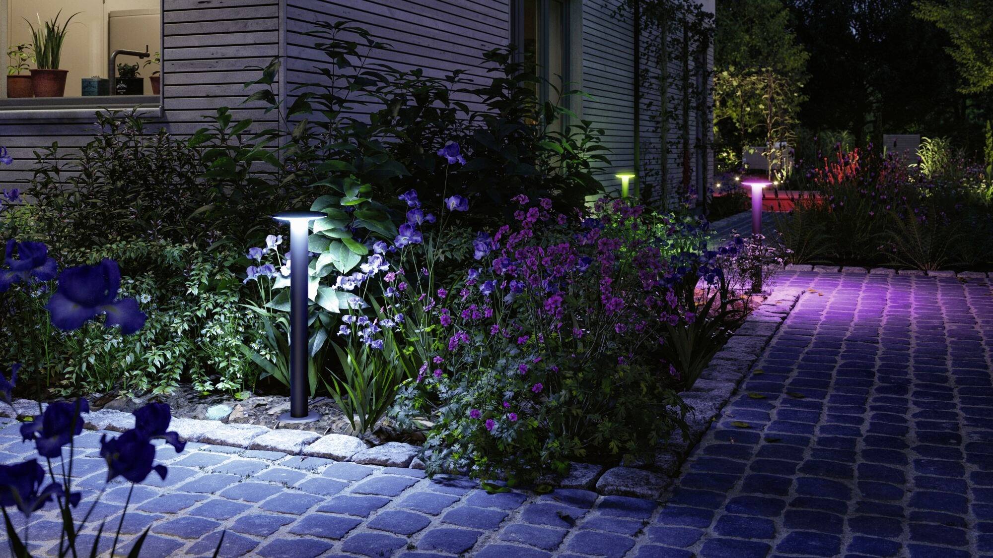 Chemin de jardin la nuit avec des parterres de fleurs illuminés et des lampes solaires multicolores. Façade de la maison et plantes visibles en arrière-plan.