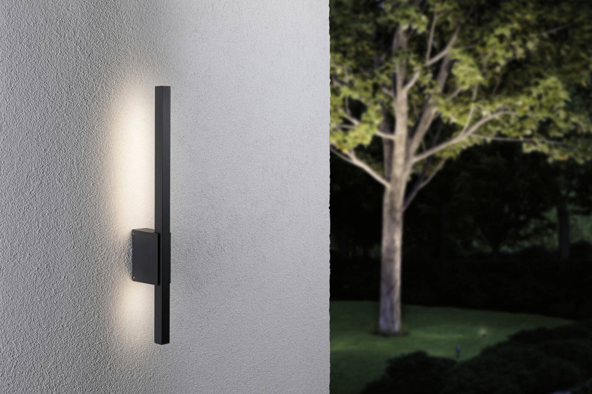 Un luminaire mural moderne éclaire un mur blanc. Un arbre se trouve en arrière-plan, partiellement illuminé par la lumière.