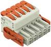 WAGO Boîtier femelle pour câble Pas: 7.62 mm 831-1105/038-000 12 pc(s)
