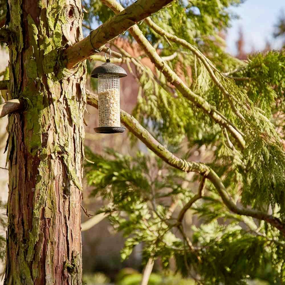 Un distributeur de nourriture est accroché à une branche d'arbre, rempli de graines de tournesol. L'environnement est un jardin ensoleillé avec des arbres.