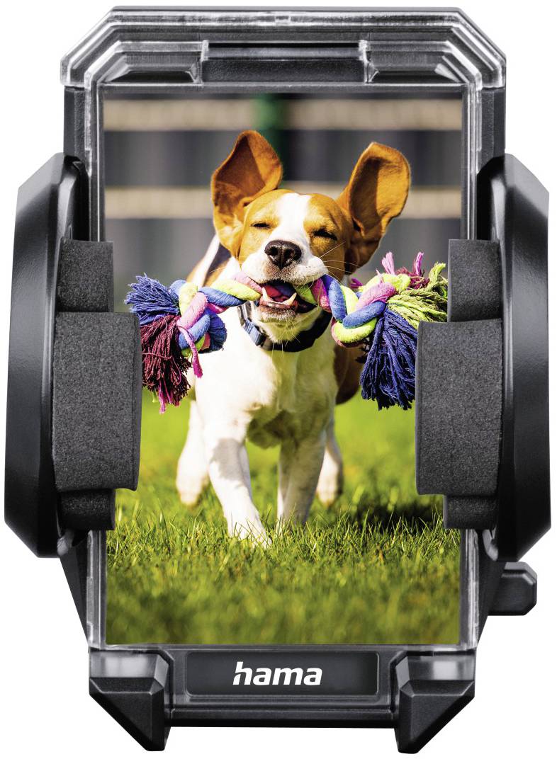 Un chien court sur la pelouse, portant un jouet coloré dans la gueule, fixé dans un support de smartphone.