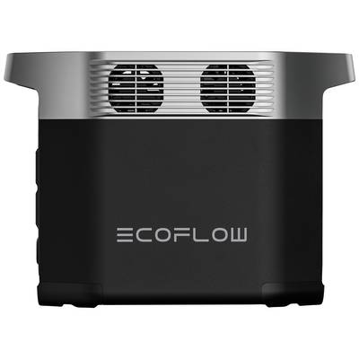 Générateur électrique portable dans un boîtier noir portant l'inscription 'ECOFLOW', avec deux fentes de ventilation visibles sur le dessus.