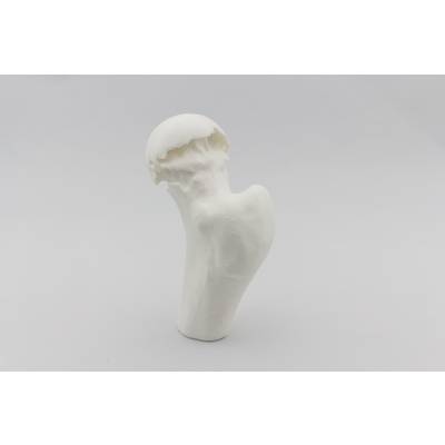 Un modèle 3D blanc d'un fémur sur un fond neutre, montrant la forme et la structure naturelles de l'os.