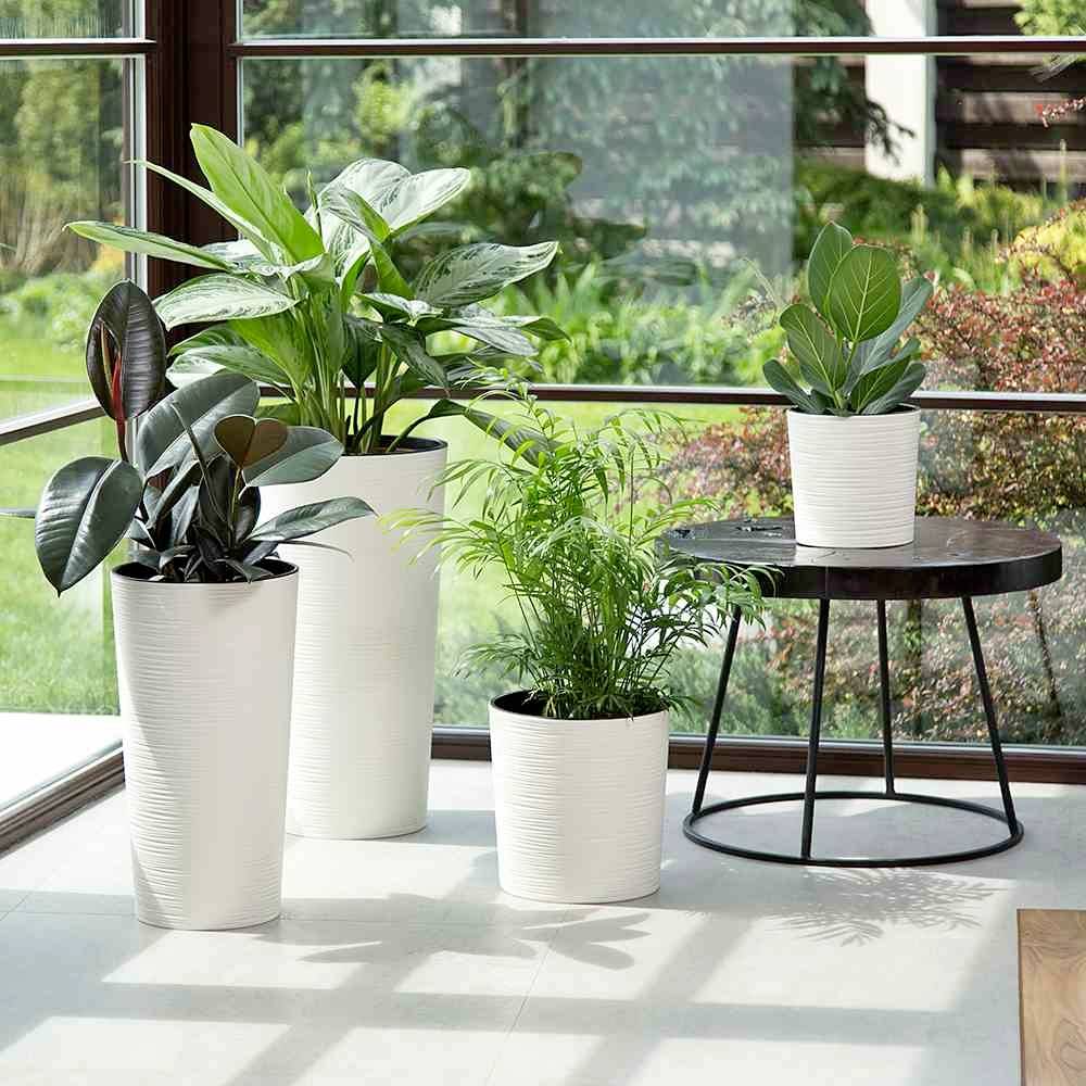 Trois plantes d'intérieur dans des pots blancs près d'une table ronde devant une grande baie vitrée donnant sur un jardin verdoyant.