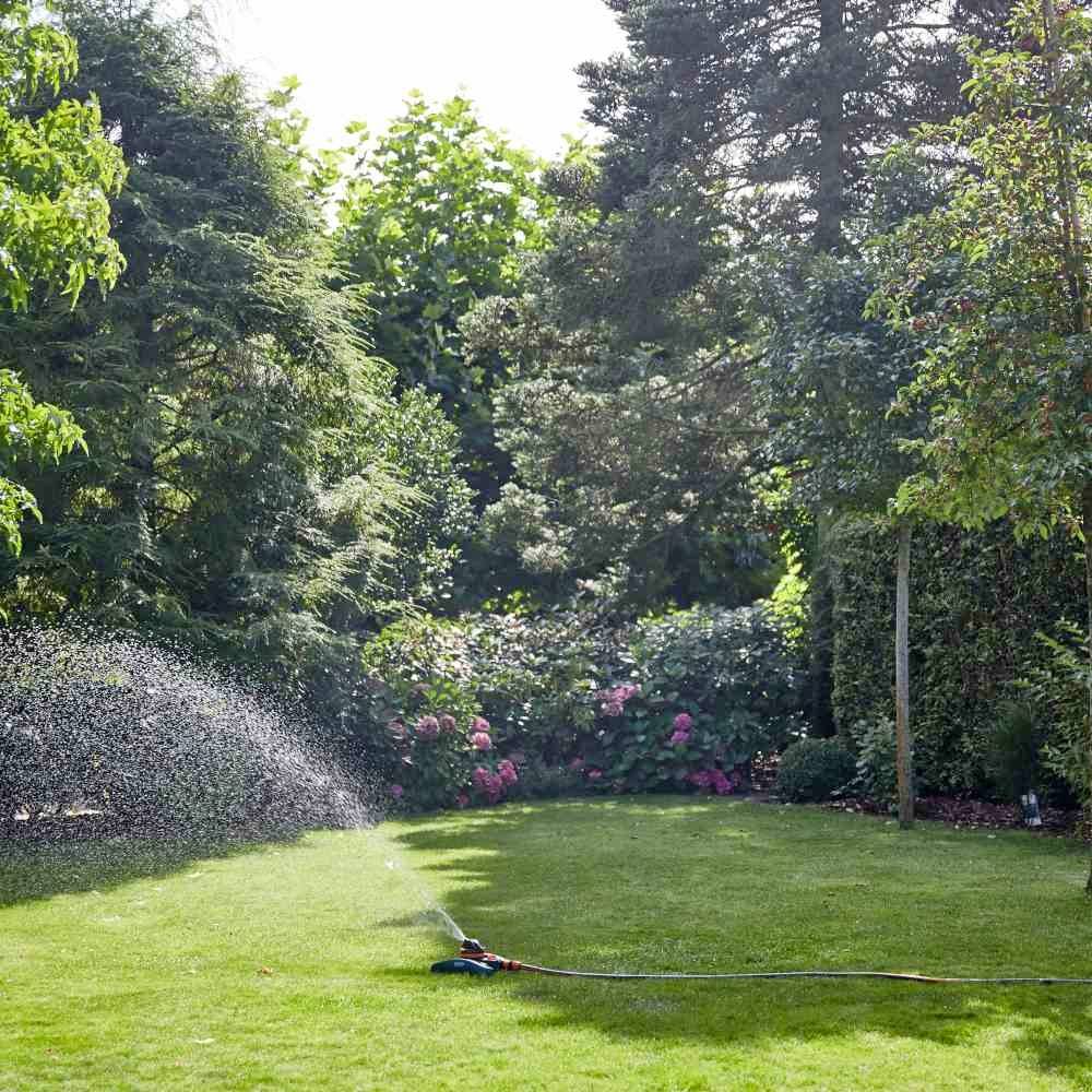 Un arroseur arrose une pelouse verte, entourée d'arbres et d'arbustes touffus avec des fleurs roses en arrière-plan.