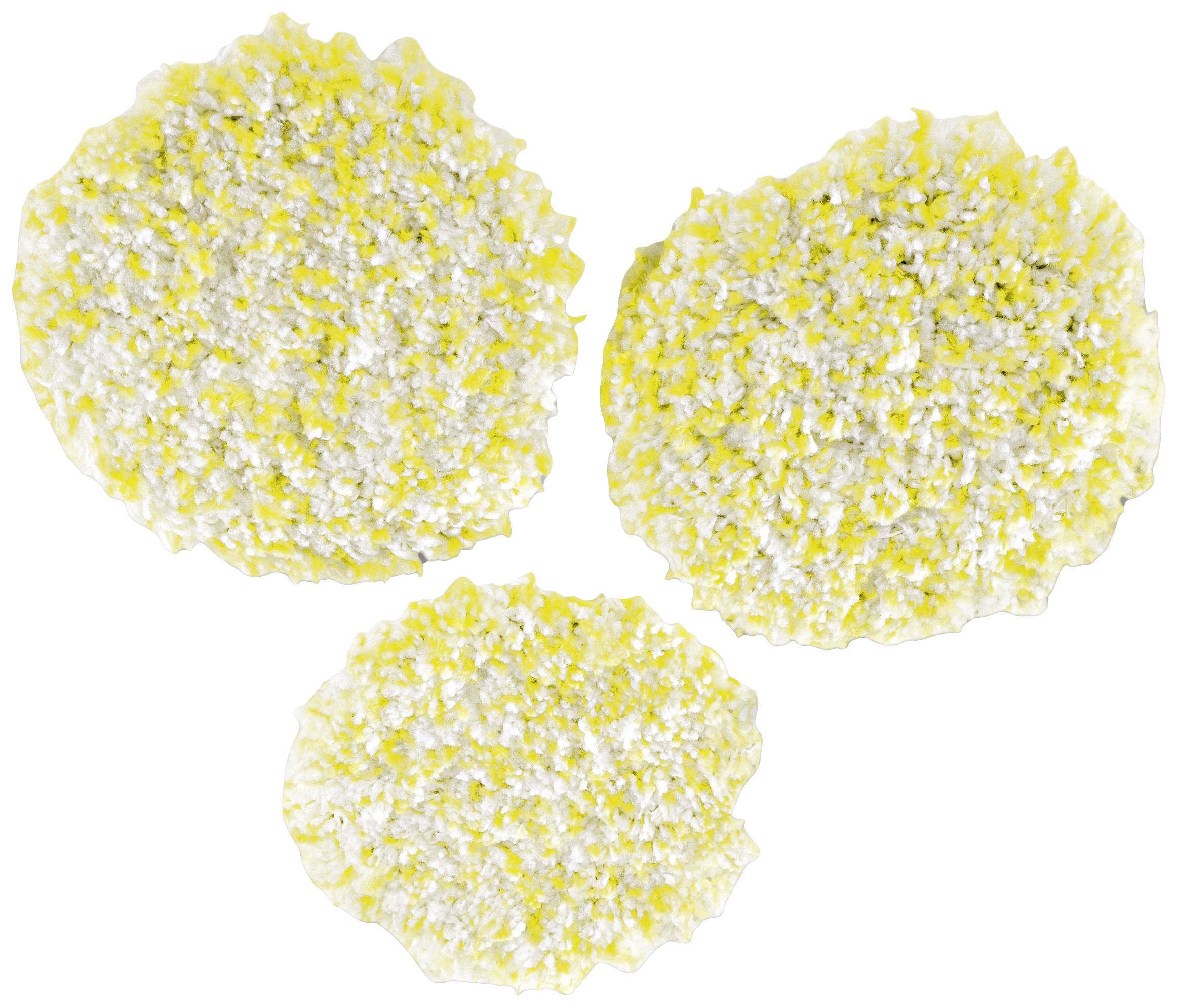 Trois objets ronds et plats à texture jaune et blanche, aux formes irrégulières, sur un fond blanc.