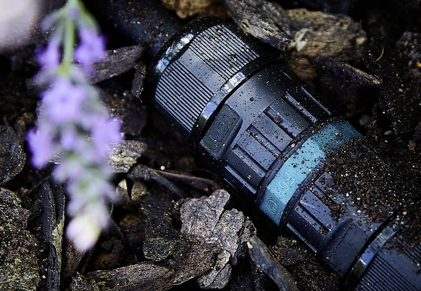 Un robinet d'irrigation dans un jardin, entouré de terre et de morceaux de bois, avec une tige de lavande violette floue au premier plan.