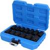 Brilliant Tools BT022620 Set de douilles BT022620