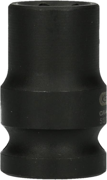 Une noix noire à la surface lisse.
