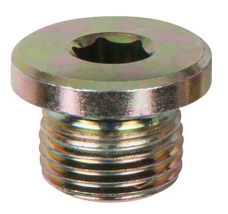 Vis en métal à tête plate avec filetage intérieur. Elle possède un hexagone creux (six pans creux) pour la fixation.