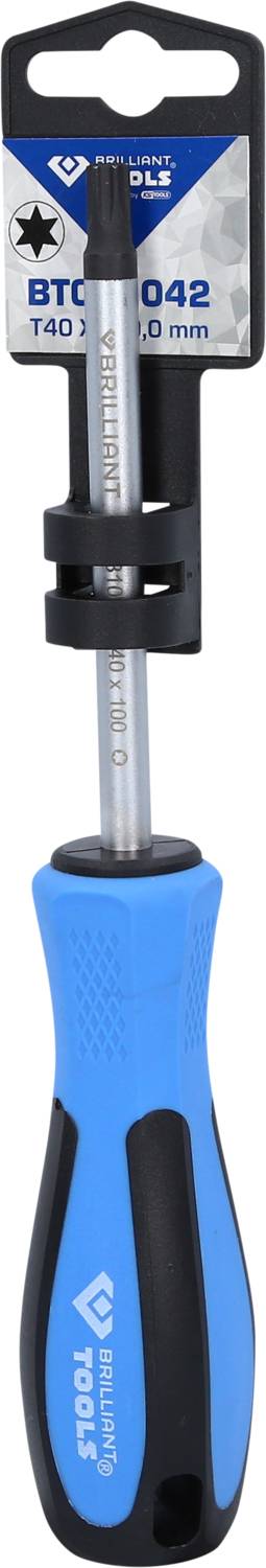 L'image montre un tournevis avec une poignée bleu-noir et un embout interchangeable. L'emballage indique la taille 'T40 100 mm'.