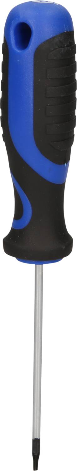 Un tournevis bleu et noir avec une poignée ergonomique et une pointe fine.