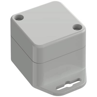 Boîtier en plastique gris rectangulaire avec deux trous sur un côté, probablement destinés à la fixation.