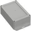 TRU COMPONENTS TC-10860884 Cloche à bride 179.90 x 119.90 x 60.20 Polycarbonate gris clair 1 pc(s)