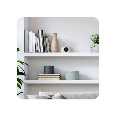 Une étagère de salon claire garnie de livres, d'un vase, d'un haut-parleur et de plantes, disposés de manière à créer un aménagement moderne.