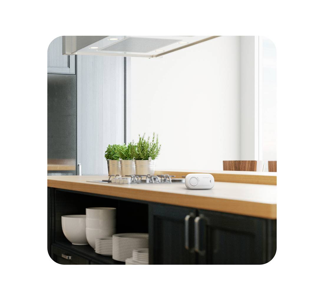 Une cuisine lumineuse avec une cuisinière sur un plan de travail en bois. Des pots d'herbes aromatiques et un petit haut-parleur blanc sont visibles.