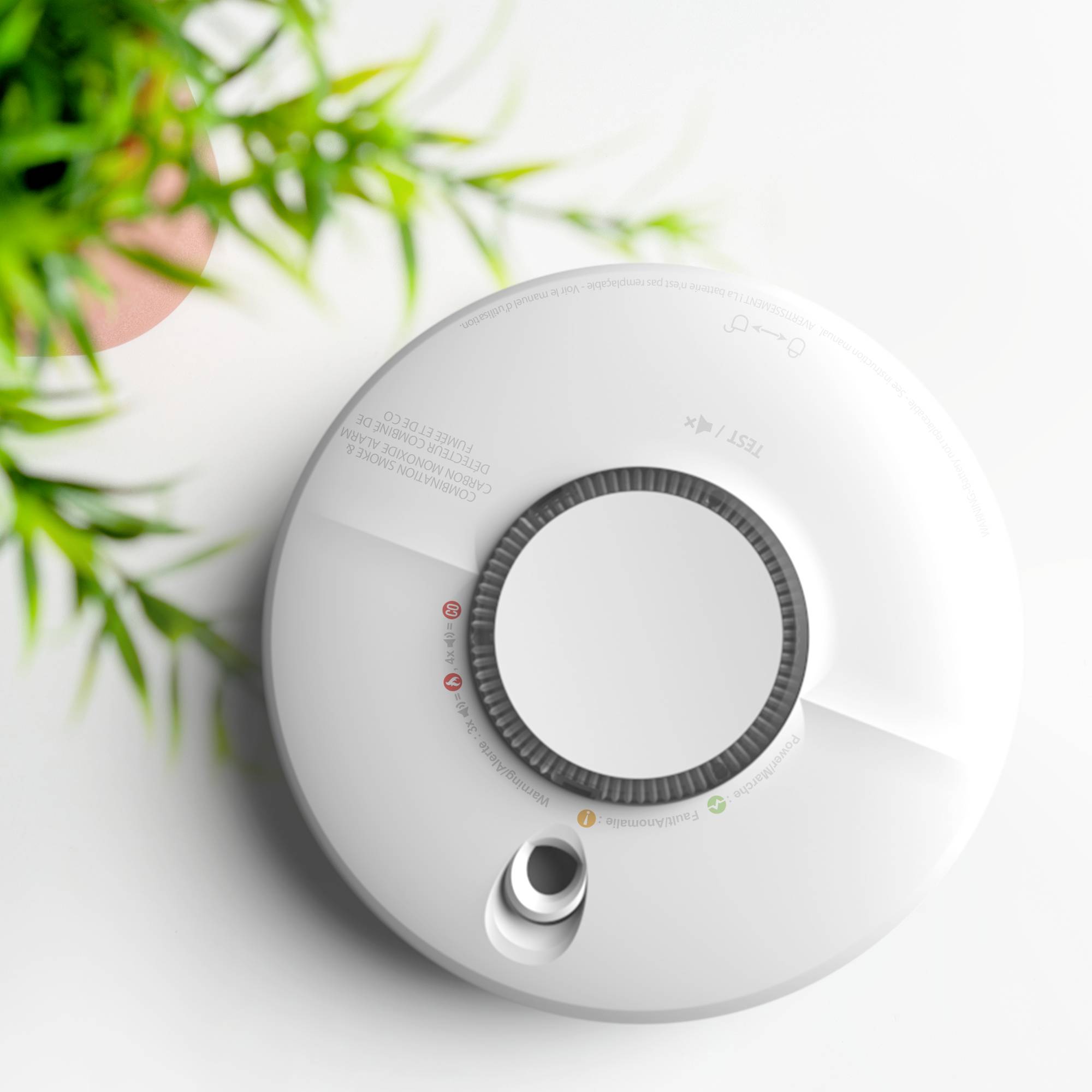 Un détecteur de fumée blanc au plafond à côté d'une plante verte.