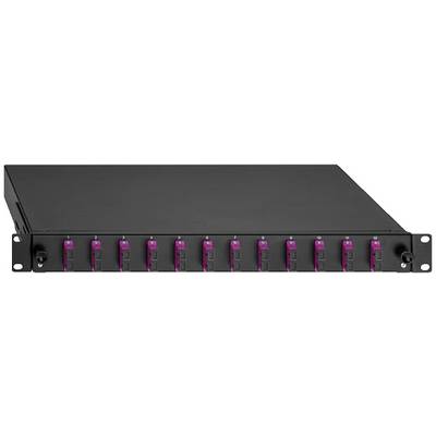 Un boîtier réseau de 19 pouces avec dix emplacements bordés de violet alignés, adapté aux modules réseau optiques.