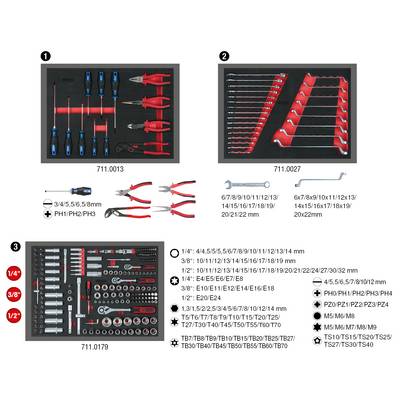 Ensemble d'outils comprenant des tournevis, des pinces et des clés. Inclut des dimensions métriques. Compartiments séparés pour l'organisation.