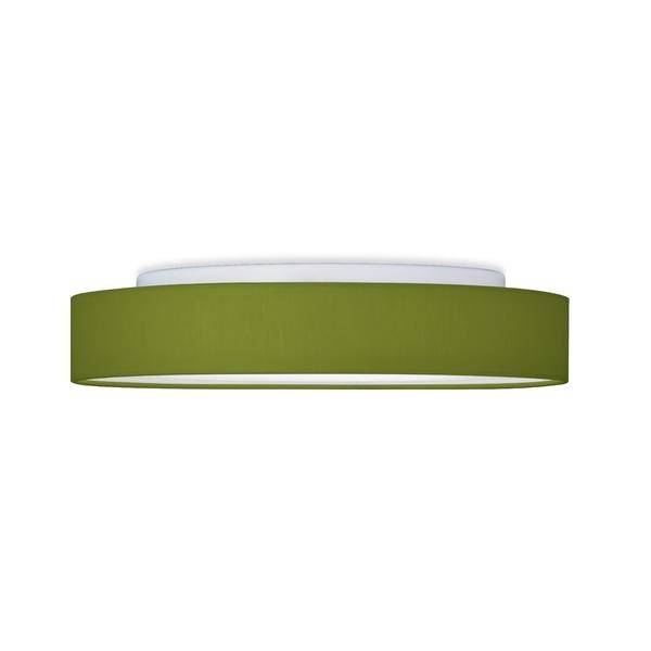 Plafonnier vert au design simple et rond. S'adapte aux styles d'intérieur modernes et assure un éclairage uniforme.