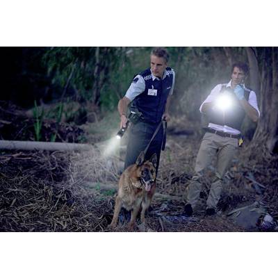 Deux policiers, munis de lampes torches et accompagnés d'un chien policier, fouillent une zone boisée pendant la nuit.
