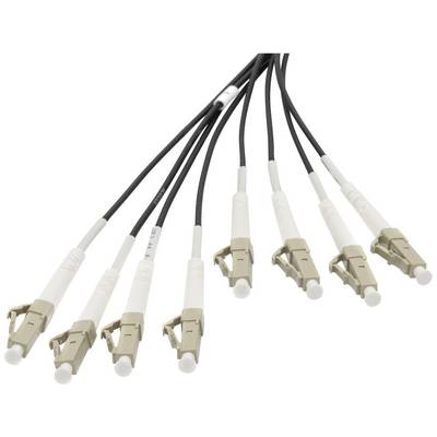 Un faisceau de huit câbles à fibre optique avec des connecteurs beiges aux extrémités, s'étendant dans différentes directions.