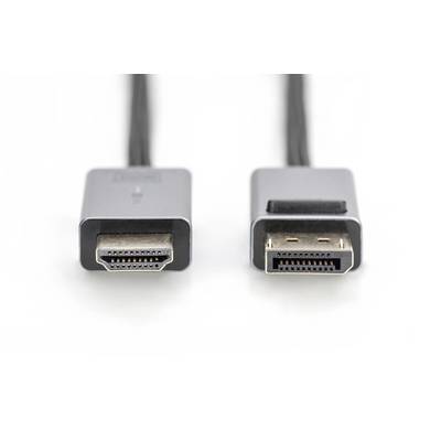 Deux câbles noirs avec des fiches argentées : à gauche une fiche HDMI, à droite une fiche DisplayPort sur un fond blanc.
