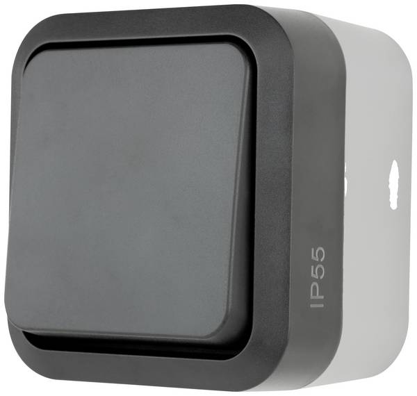 REV  complet Interrupteur va-et-vient AquaStorm gris clair, noir 0004300400 1 pc(s)