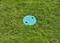 Un couvercle bleu d'égout sur un gazon vert. Le couvercle présente deux trous et est entouré d'herbe tondue.