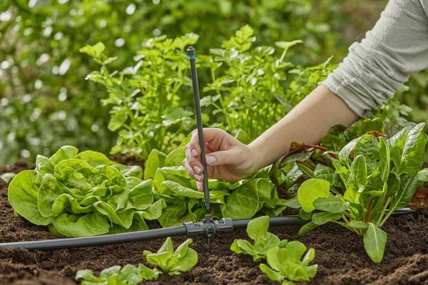 GARDENA Micro-Drip System 13326-20 Tube de rallonge Ø 13 mm (1/2")