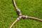Un connecteur de tuyau à trois voies relie trois tuyaux d'arrosage, formant une forme en Y sur l'herbe verte, facilitant plusieurs écoulements d'eau.