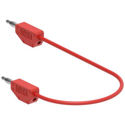 Câble de sécurité rouge avec deux connexions à broches aux extrémités, marqué du symbole CE et des symboles de cadenas.