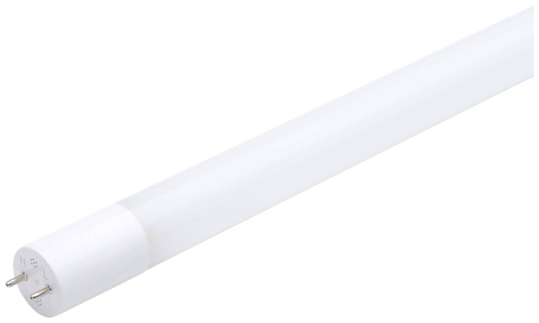 Une lampe tube LED blanche à deux broches à une extrémité, adaptée pour une utilisation dans des luminaires avec support compatible.