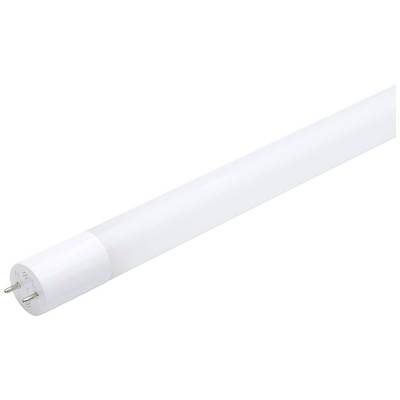 Une lampe tube LED blanche à deux broches à une extrémité, adaptée pour une utilisation dans des luminaires avec support compatible.