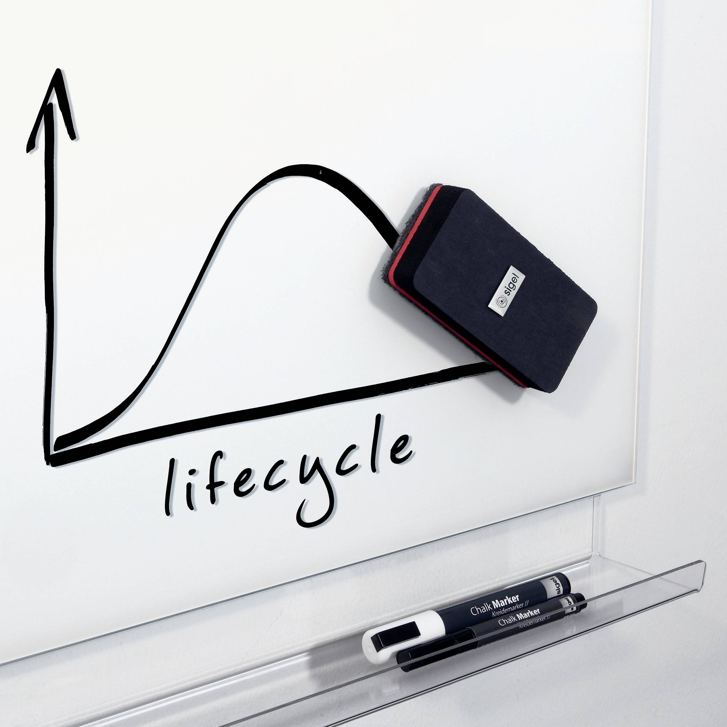 Une éponge efface une section d'un dessin sur un tableau blanc. Le dessin représente un cycle de vie avec un graphique en courbe.