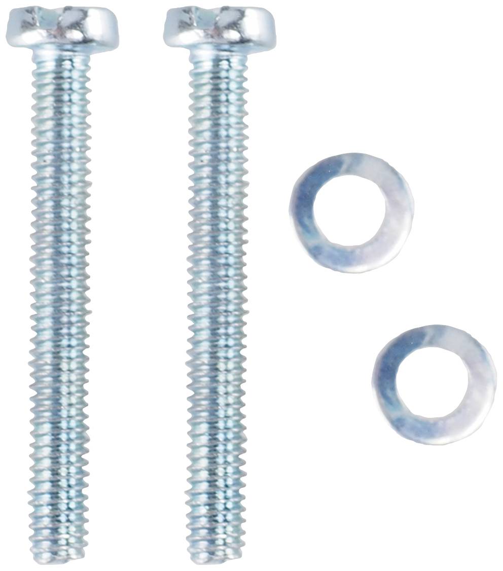 Deux vis à tête cruciforme en argent et deux rondelles correspondantes.