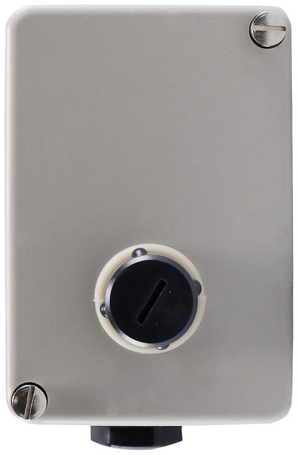 Jumo 60001290 2 points de réglage Déclencheur thermique -20 à 230 °C Relais 10 A
