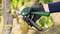 Une main portant des gants de jardinage utilise un sécateur électrique vert pour couper une branche sur un arbre.