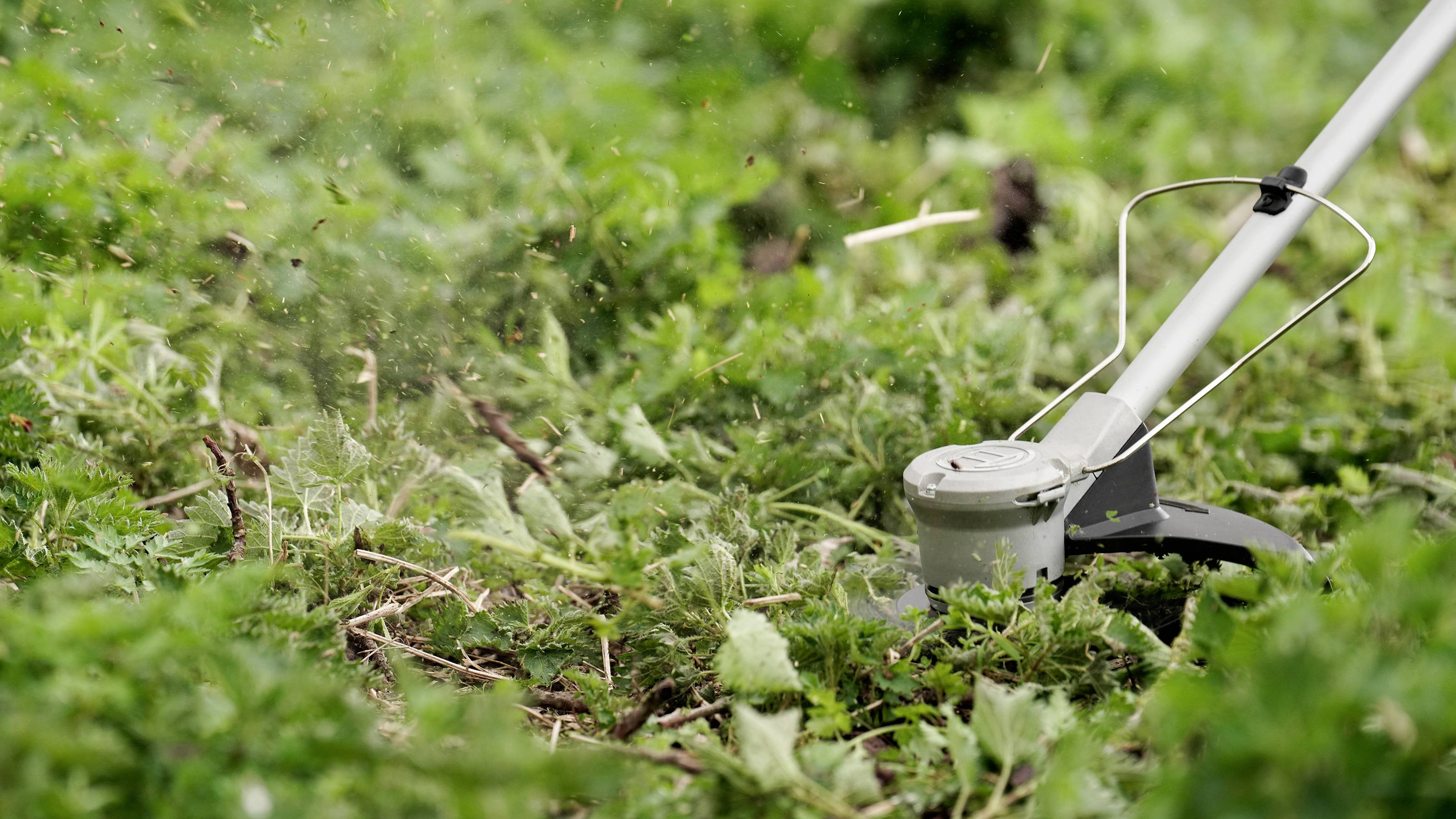 Une débroussailleuse coupe l'herbe dans un jardin. Des brins d'herbe volent de tous côtés tandis que la machine se déplace pour raccourcir la pelouse.