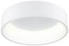 Deko Light Sculptoris 348180 Luminaire de plafond en saillie LED LED intégrée 30 W blanc signalisation (RAL 9016)