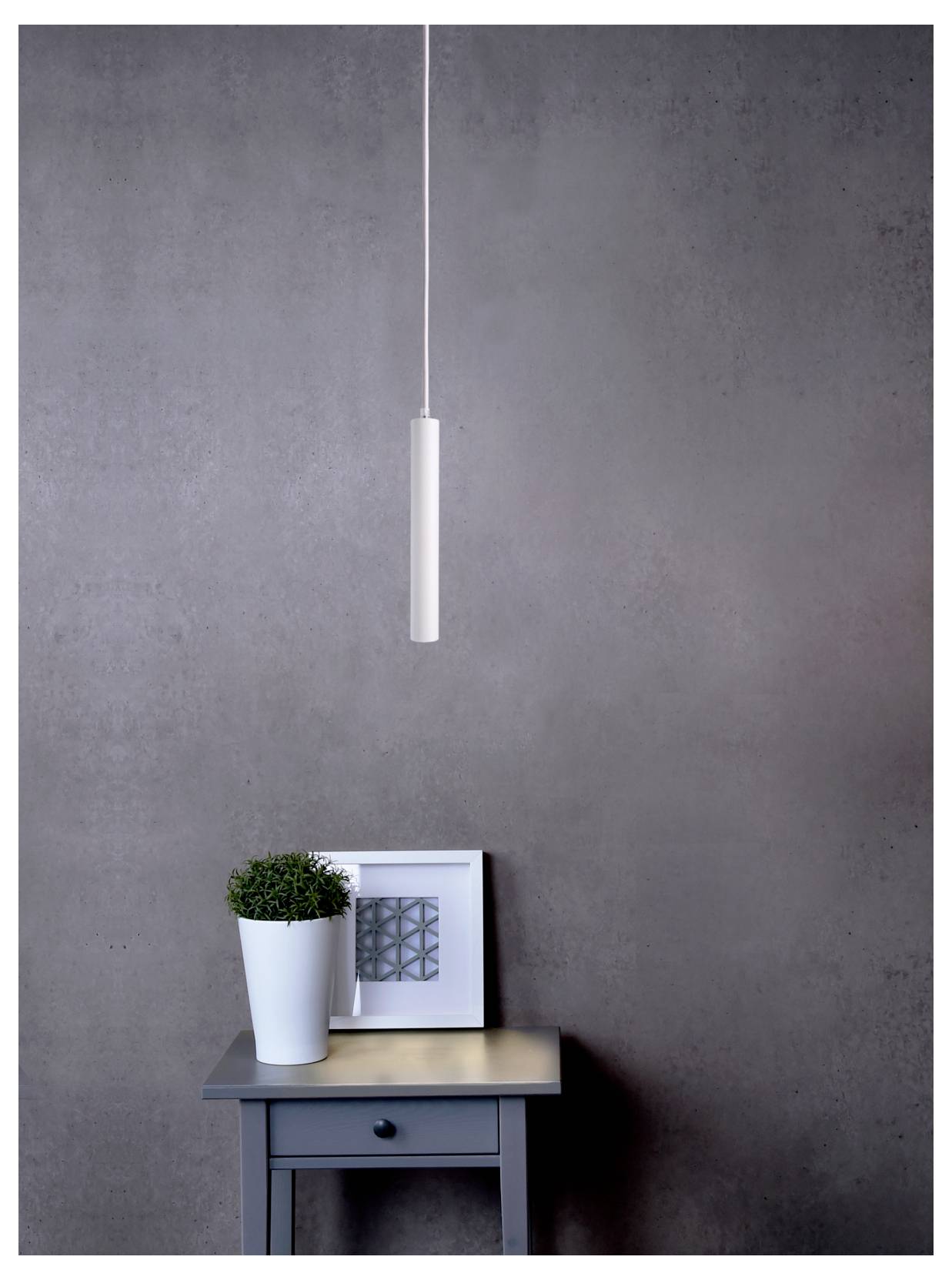 Pièce minimaliste avec un plafonnier blanc suspendu au-dessus d'une petite table supportant une plante en pot et un cadre photo, sur un mur gris.