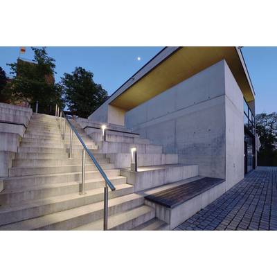 Un accès moderne à un bâtiment avec des marches en béton éclairées et une rambarde, en-dessous un chemin pavé ; entouré d'arbres au crépuscule.