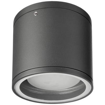 Plafonnier cylindrique noir au design moderne avec zone d'ampoule apparente, adapté à l'éclairage d'une pièce.