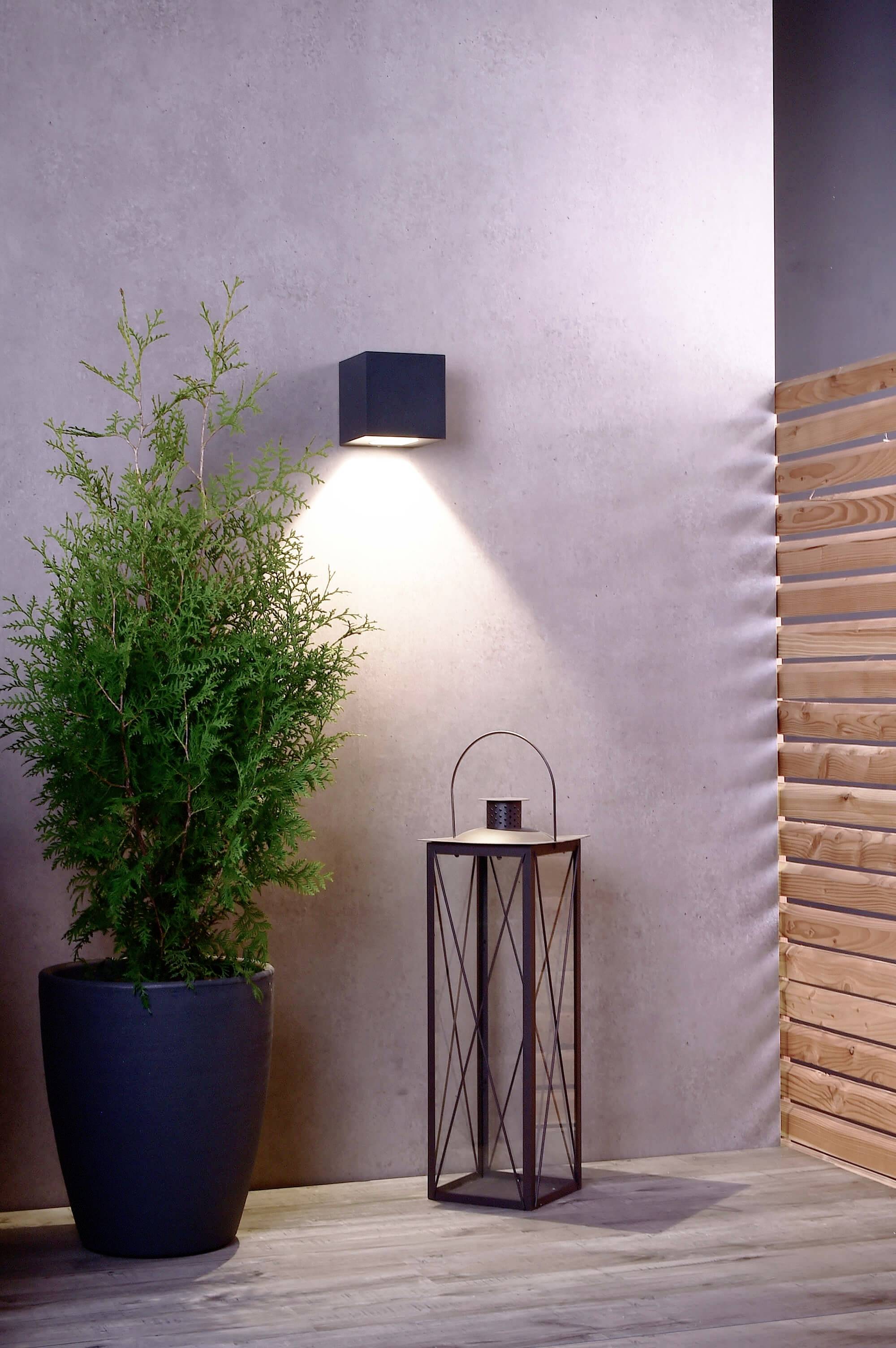 Un espace moderne avec une applique murale noire projetant de la lumière sur une plante dans un pot sombre et une lanterne noire posée au sol.