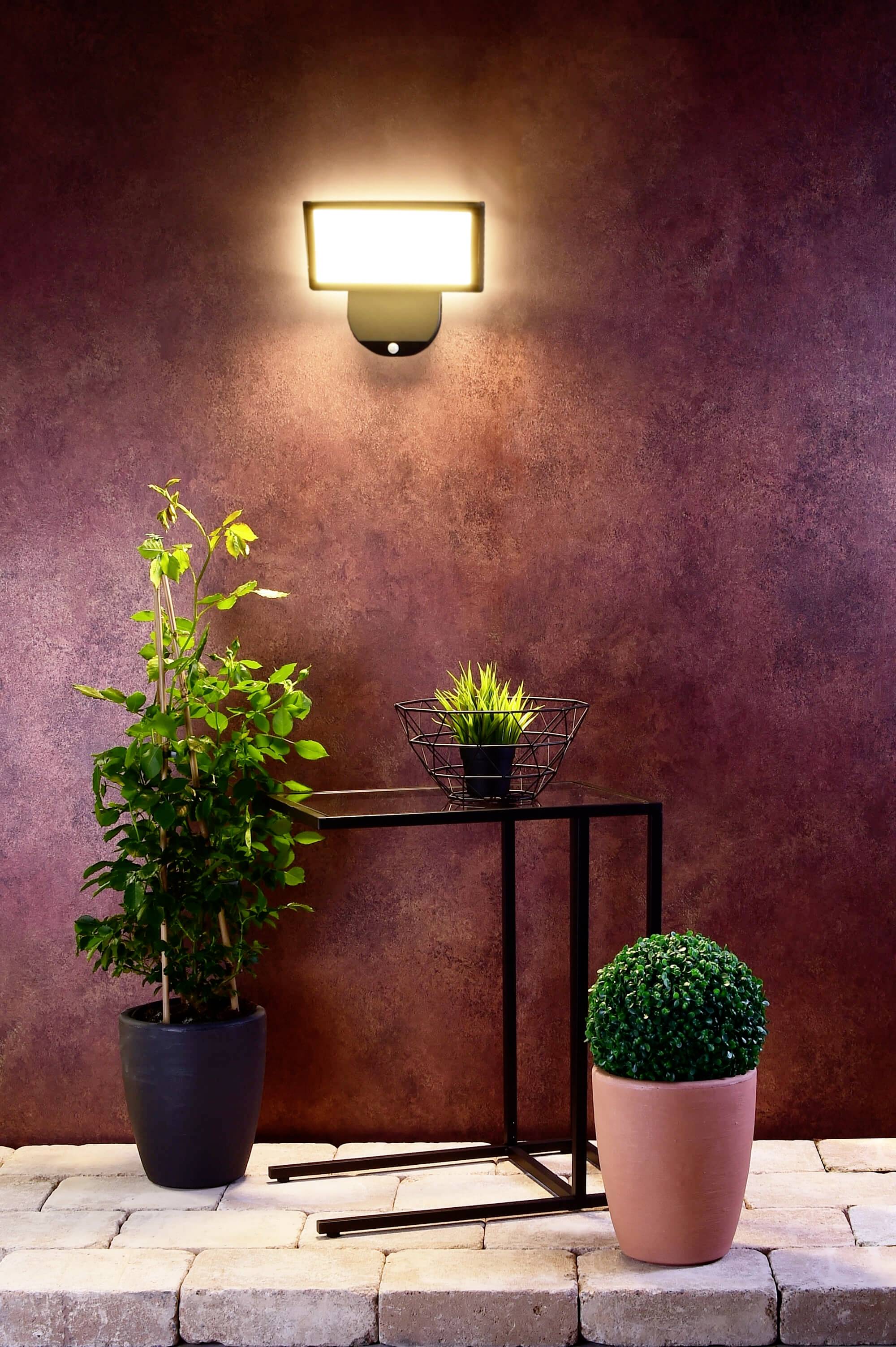 Une lampe murale noire éclaire deux plantes vertes dans des pots et une petite table en métal devant un mur rouge.