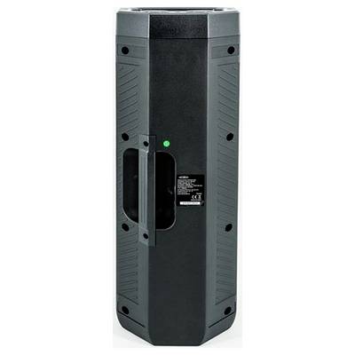 Armoire de haut-parleur noire et haute avec poignées latérales et un petit voyant indicateur vert, présentée en vue de face sur un fond blanc