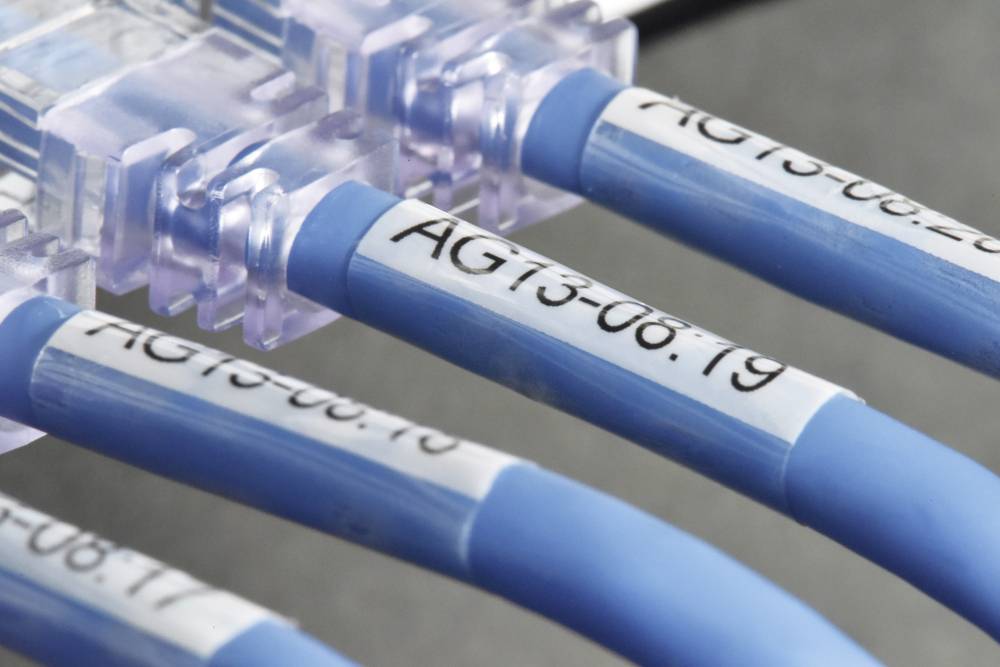 Gros plan de plusieurs câbles Ethernet bleus portant l'étiquette 'AG13-08.19' branchés dans un connecteur transparent.
