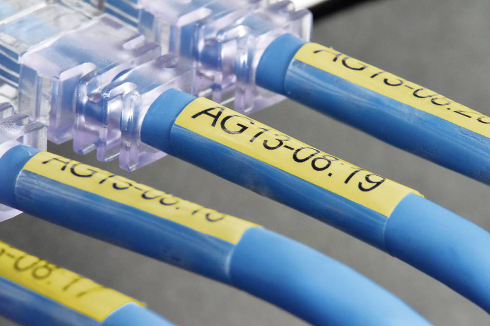 Gros plan sur quatre câbles Ethernet bleus étiquetés en jaune. Un câble est connecté à un connecteur transparent.